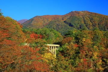 紅葉の鳴子峡