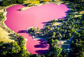 Fototapety  Widok z lotu ptaka na różowe jezioro w Melbourne (Australia) w słoneczny dzień podczas złotej godziny. Kolor ke wynika z naturalnych alg.