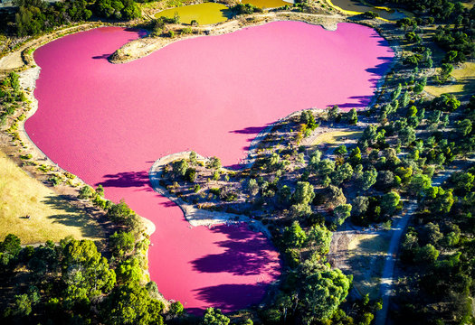 Pink Lake Images – Browse 324,006 Stock Photos, Vectors, and Video | Adobe  Stock