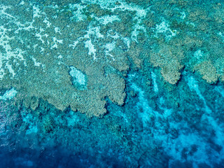 Aerial view of the Great Barrier Reef from above with a wide reef structure at low tide. The reef is surrounded by turquoise water.