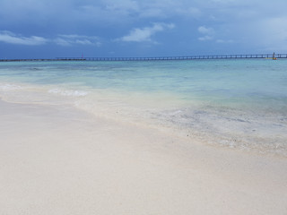starfish island in belize