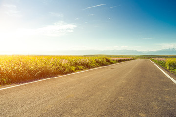 road in grassland