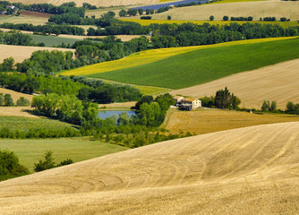 Summer landscape in Marches (Italy) near Filottrano