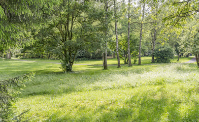 idyllic park scenery
