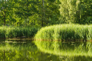 See in Norddeutschland