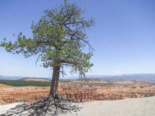 Bryce Canyon National Park