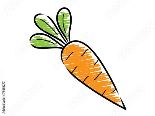 "Zeichnung: Möhre / Vektor, freigestellt" Stock image and royalty-free