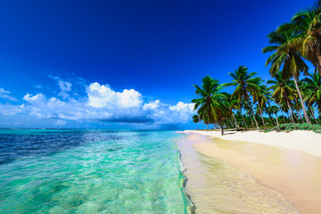 station balnéaire plage palmier mer