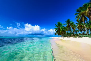 Crédence de cuisine en verre imprimé Plage tropicale station balnéaire plage palmier mer
