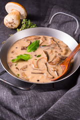 Tasty mushroom sauce