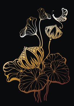 Vector realistic illustration of lotus flowers and leaves on black background.. Design for natural cosmetics, health care and ayurveda products, yoga center.