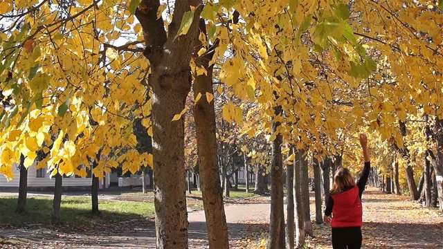 A woman walks along the park avenue, rejoices in the autumn, knocks down the yellow leaves from the tree.