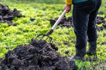 Gardener working in the vegetable garden, spring gardening, organic farming concept.