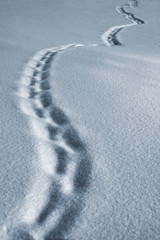 Footprint on Snow, Winter Footstep Path, Human Foot Print
