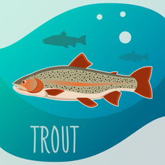 Trout fish banner