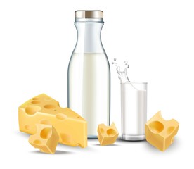 Cheese and milk realistic Vector. Detailed diary meal bio organic