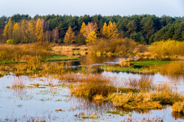 Jesienna Narew © podlaski49
