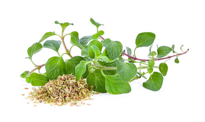 oregano herb on white background