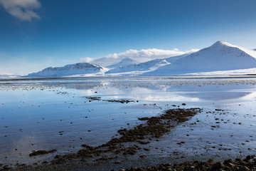 Am Fjord - Island im Winter