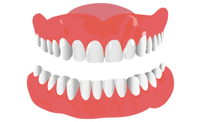 medical denture smile jaws teeth on white background
