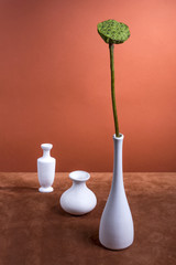 Still life with a lotus flower without petals and white vases