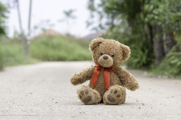 Teddy bear sitting on the street in the village.