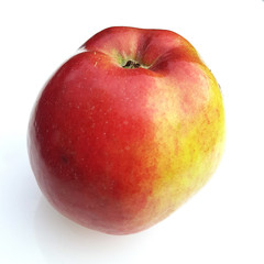 Knebusch, Alte Apfelsorten, Apfel, Malus, domestica