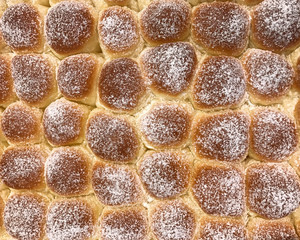 Fototapeta premium Baked bread topped with icing sugar