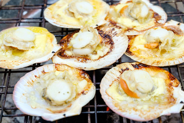 Grilled scallops with charcoal stove