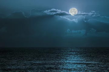 Rolgordijnen Blauw maanlicht weerkaatst op de oceaan. Romantisch schemering maanlicht © Ian Dyball
