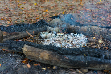 hiking fire place bbq in forest with small fire and ash