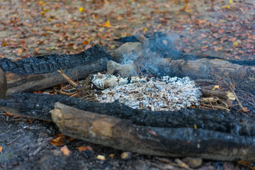hiking fire place bbq in forest with small fire and ash