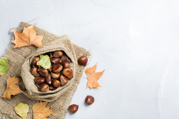 Harvest fall autumn concept. Ripe raw chestnuts in canvas bag