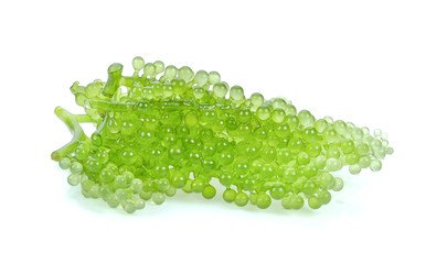 Sea grapes ( green caviar ) seaweed, Healthy food on white background