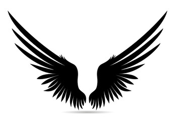 Black  Wings. Vector illustration 