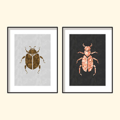 Beetle wall poster art designs vector. Modern textured insect decor.