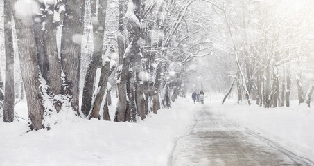 Snow-covered winter park and benches. Park and pier for feeding 