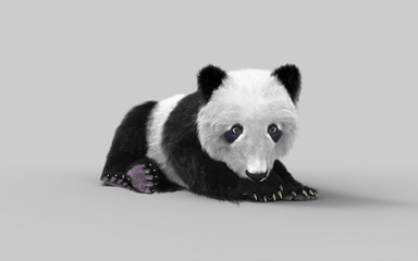 3d illustration panda isolated on white background with clipping path, a cute panda bear. © mrjo_7