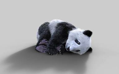 3d illustration panda isolated on white background with clipping path, a cute panda bear. © mrjo_7