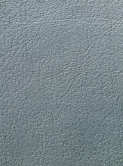 Leather texture