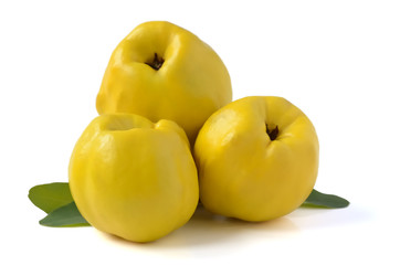 Three quince fruits on a white background