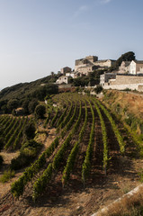 Corsica, Alta Corsica, 29/08/2017: skyline e vista dei vigneti di Baragogna, uno dei villaggi del...