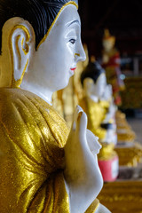 Sitting Golden Buddha Statue in a Row