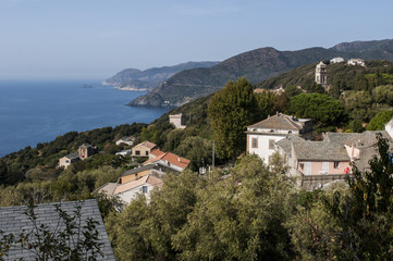 Fototapeta na wymiar Corsica, 28/08/2017: la macchia mediterranea con vista sullo skyline di Pino, villaggio dell'Alta Corsica sul versante occidentale del Capo Corso 