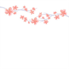 Branches of Sakura with Pink flowers isolated on White background. Sakura flowers. Cherry blossom. Vector