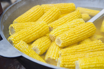 Boiled corn cobs at a street food market