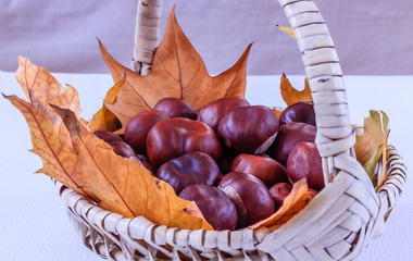 Ripe chestnuts and autumn leaves in a basket, close up