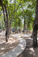 Concrete walkway to the seat area.