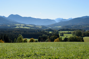 Blick aus dem Alpenvorland in die Chiemgauer und Berchtesgadener Alpen bei Siegsdorf, Bayern Deutschland