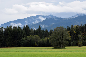 Fototapeta na wymiar Landschaft im Alpenvorland, Chiemgau bei Siegsdorf und Traunstein, Blick auf den Kienberg und Zinnkopf